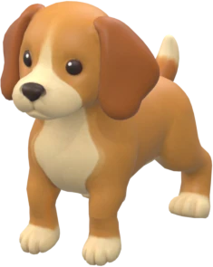 Beagle: Erwachsen